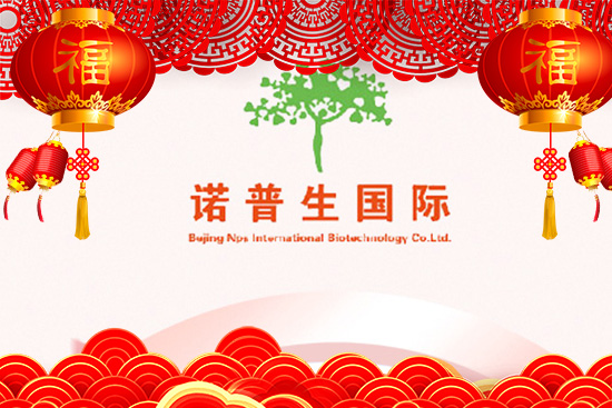 ţ\(yn)ţD(zhun)C(j)ZףԸţţ
