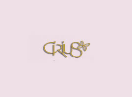 ǜRQ޹˾