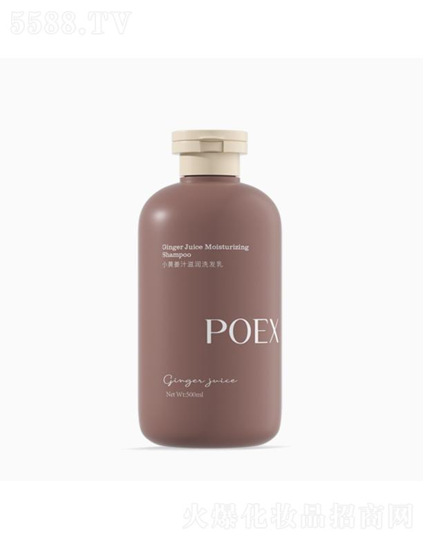 POEXСS̝֭ϴl(f)