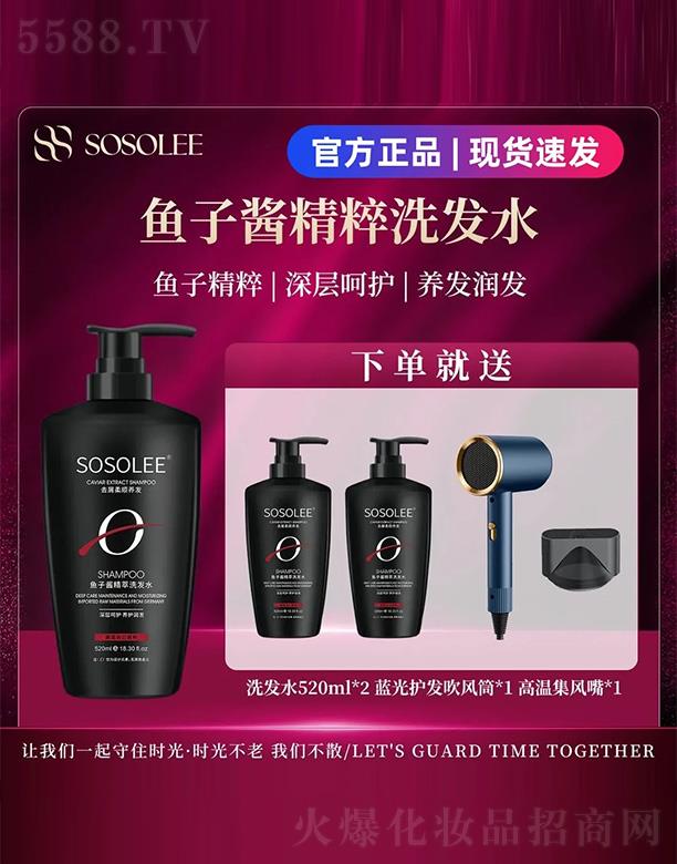 SOSOLEE~uˬϴl(f)ˮ