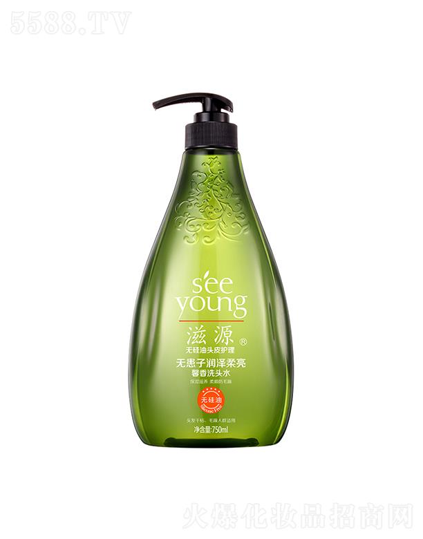 Դo(w)ӝ(rn)ܰϴ^ˮ750mL