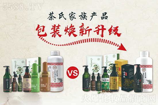 茶氏家族全新升級 茶氏家族全新升級
